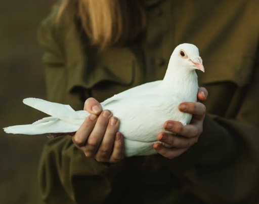 Скажи, каково это?