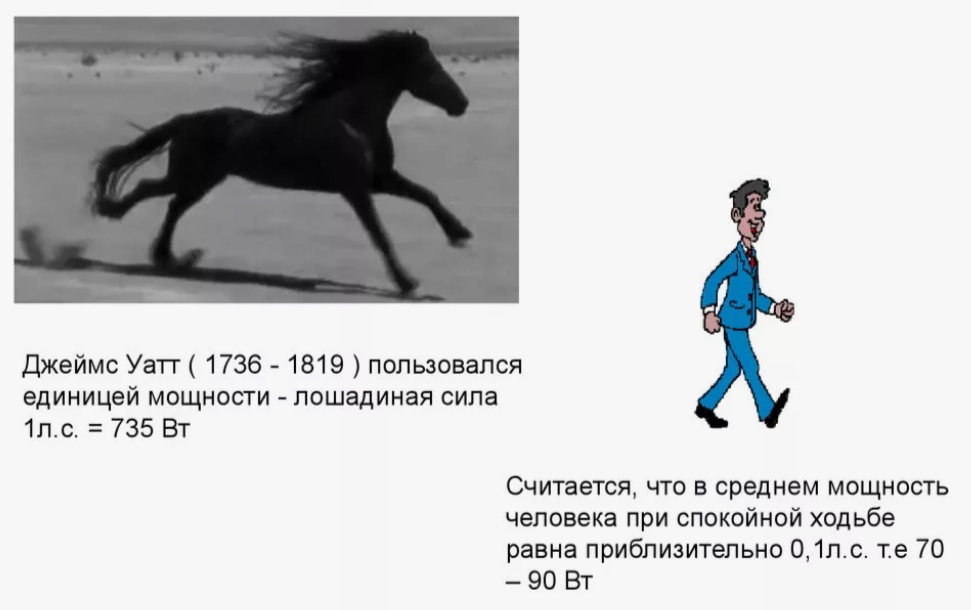 Скорость человека лошади