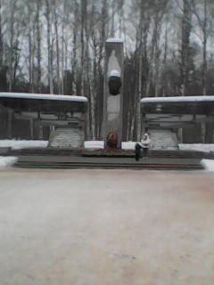 Мемориальный комплекс памяти блокадных летчиков в парке Сосновка